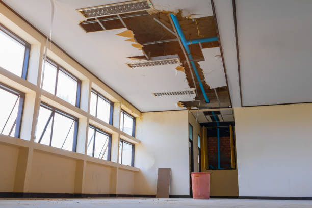Best Flood restoration services  in Fort Lewis, WA