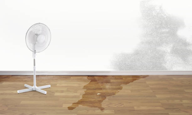 Best Residential water damage restoration  in Fort Lewis, WA