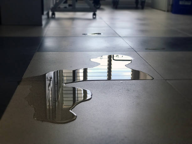 Best Emergency water damage restoration  in Fort Lewis, WA