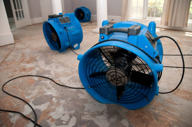 Best Sewage cleanup and water damage restoration  in Fort Lewis, WA