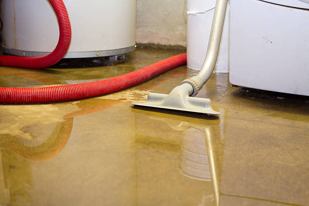 Best Flooded house restoration  in Fort Lewis, WA