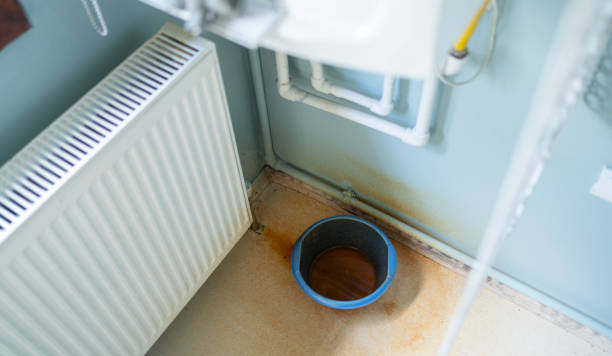 Best Flood damage cleanup  in Fort Lewis, WA
