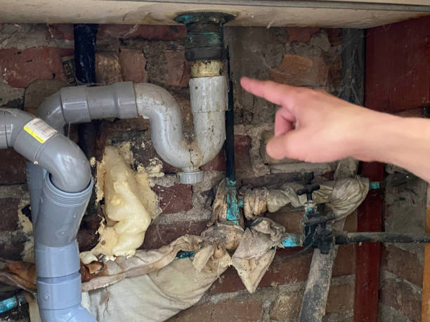 Best Professional water damage repair  in Fort Lewis, WA