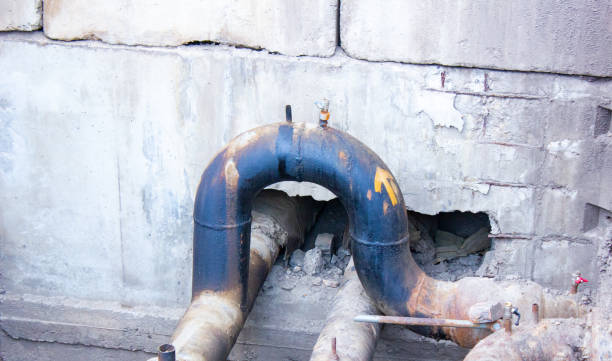 Best Water damage cleanup near me  in Fort Lewis, WA