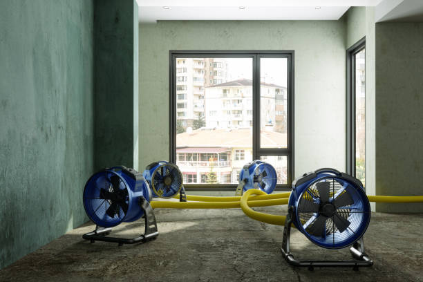Best Basement water damage restoration  in Fort Lewis, WA